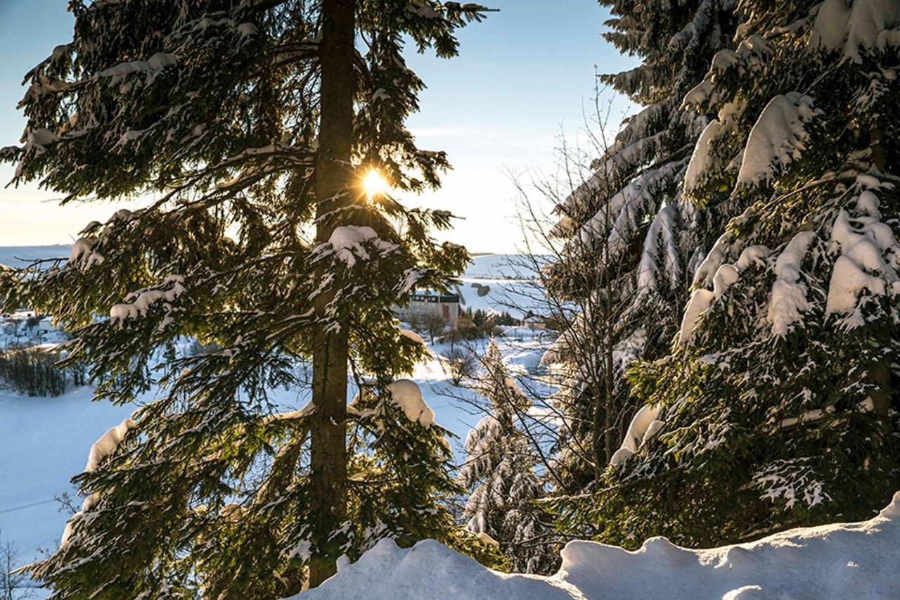 Pension Und Gaststaette Naturbaude Eschenhof Oberwiesenthal Eksteriør billede