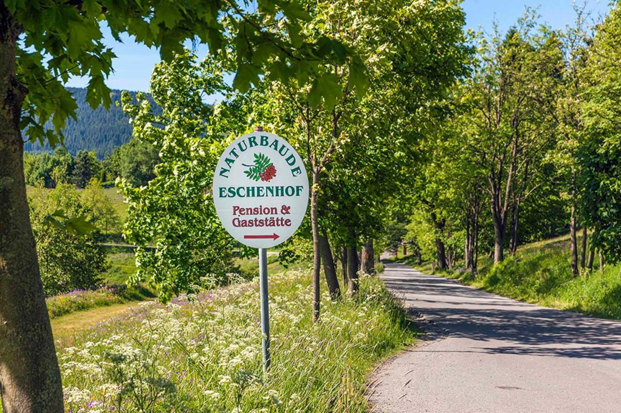 Pension Und Gaststaette Naturbaude Eschenhof Oberwiesenthal Eksteriør billede