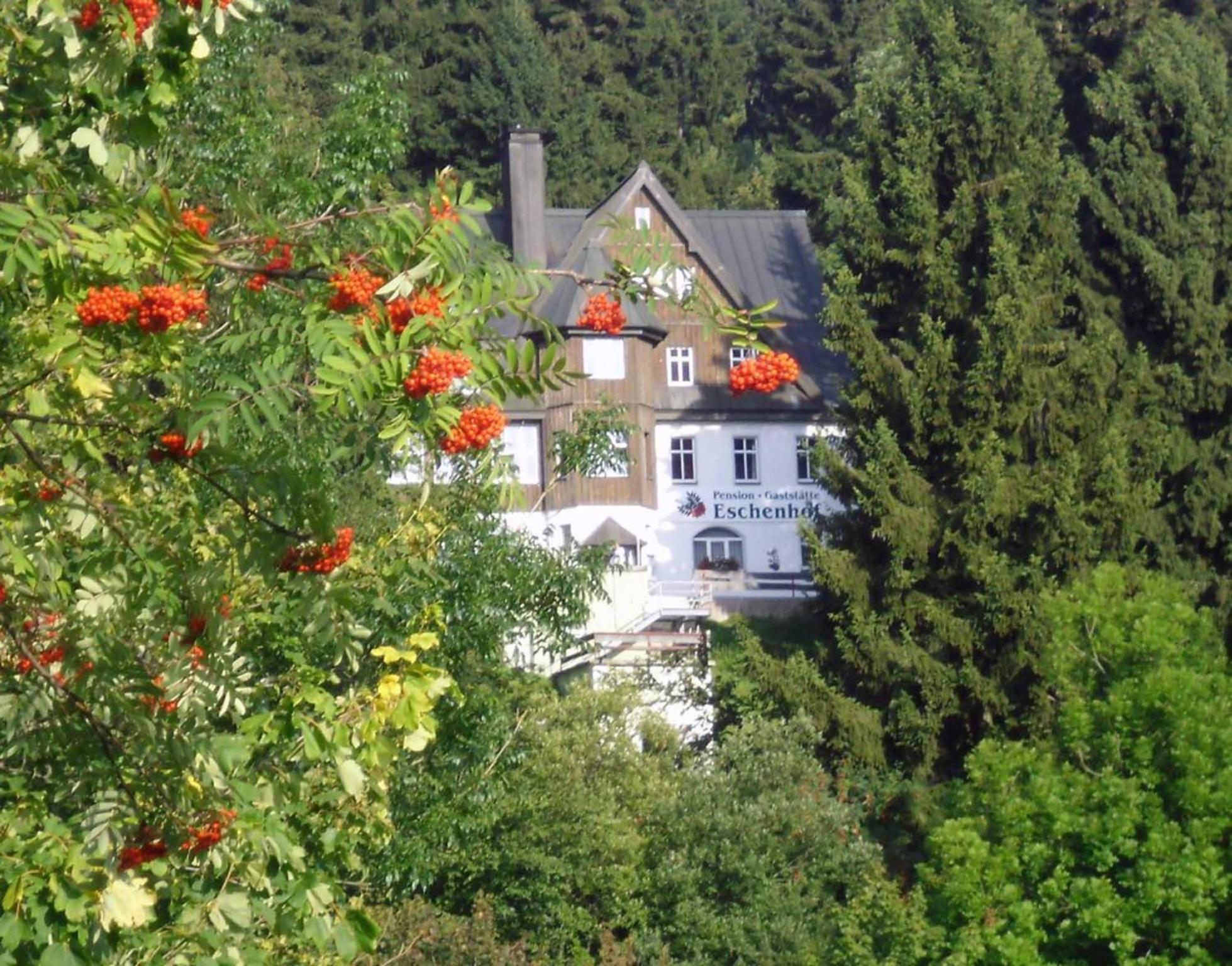 Pension Und Gaststaette Naturbaude Eschenhof Oberwiesenthal Eksteriør billede