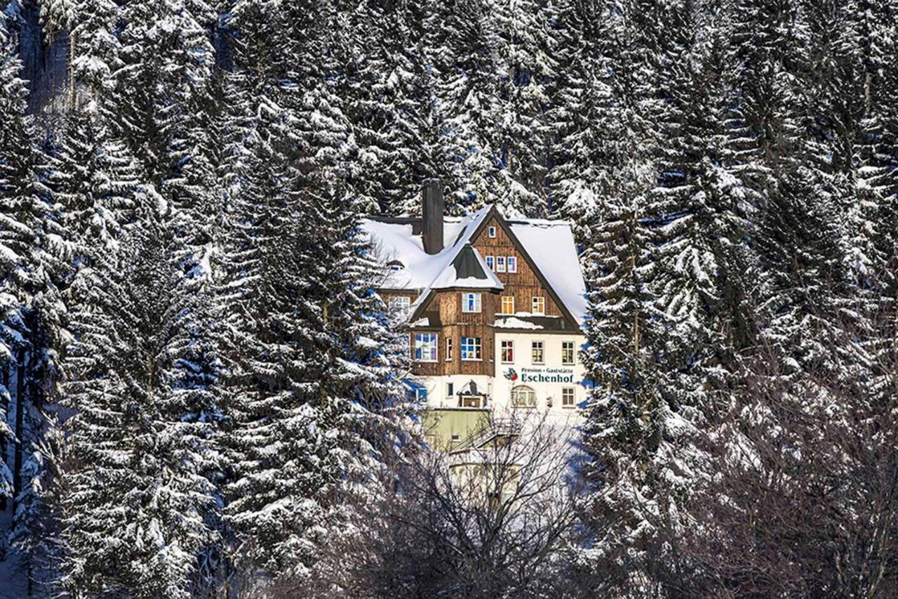 Pension Und Gaststaette Naturbaude Eschenhof Oberwiesenthal Eksteriør billede